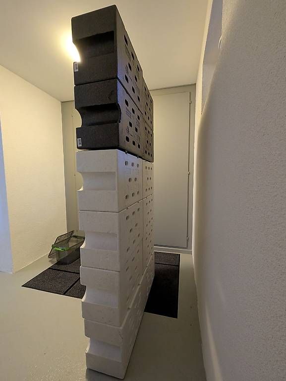 Scaffali: Styropor Weinregal 10 Stück – Usato da Herisau venduto da sviimue 4