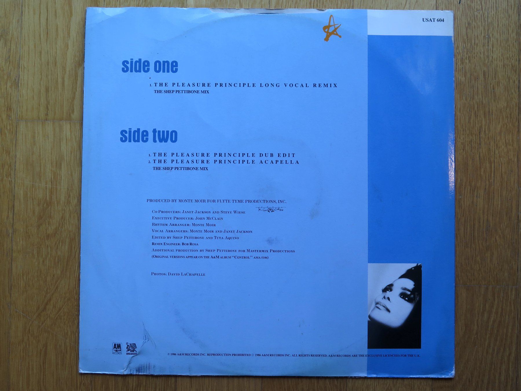 Dischi in vinile: Maxi-Single JANET JACKSON: The pleasure principle, 1986 – Usato da Bern venduto da Balzamico 1