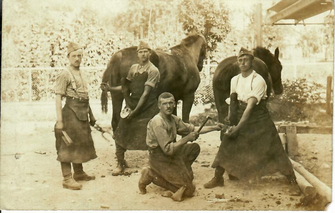 Cartoline postali: Militär - Hufschmied – Usato da Hochdorf venduto da Ziegel-16