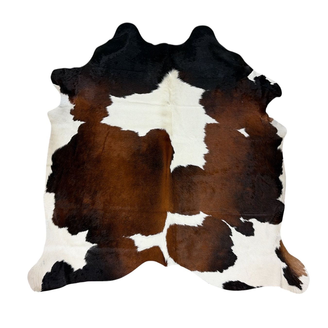 Tappeti: echtes Kuhfell Teppich exotic tricolor – Nuovo e nell'imballaggio originale da Arbedo venduto da patagonialeatherrugs