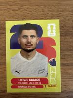 Panini Fifa NZL 5