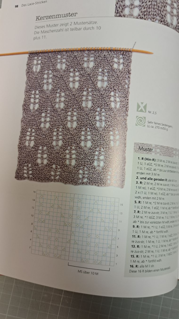 Libri: Buch Das grosse Buch des Lace Strickens – Usato da Zofingen venduto da Gabe0815 4