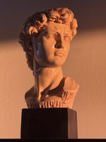 Bellissima scultura del viso del David di Michelangelo 