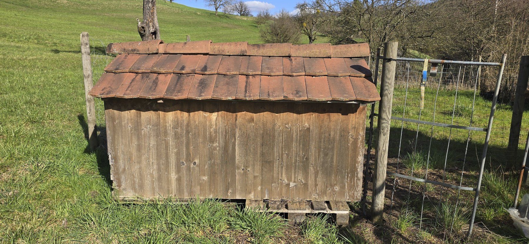 Cucce & Letti: Hundehütte mit Ziegeldach – Usato da Wil AG venduto da Elfina02