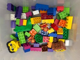 Duplo / BioBuddy / Unico - Konvolut