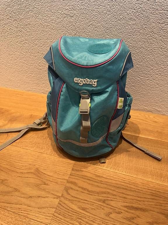 Borse & Zaini: Ergobag Kindergartenrucksack inkl. Kletties – Usato da Gipf-Oberfrick venduto da tanjahasler