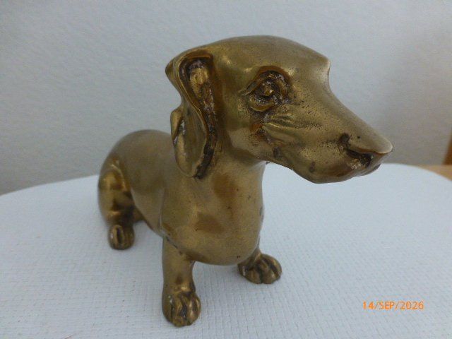 Sculture & Statue: Herziger Dackel aus Bronze. – Usato da Pratteln venduto da Emperial 8