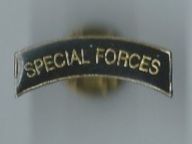 Special Forces Pin