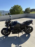 Yamaha FZ8NA grau blau