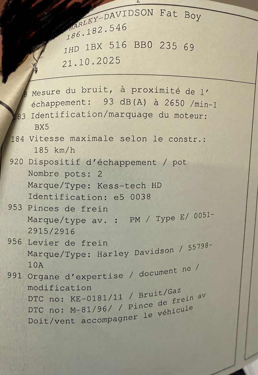Harley-Davidson Chopper: Harley Davidson Fat Boy – Usato da Val-d'Illiez venduto da LuckLuc 9