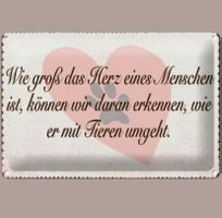 🔥 HERZ FÜR TIERE Blechschild 🩷 12x18cm OVP 🔥