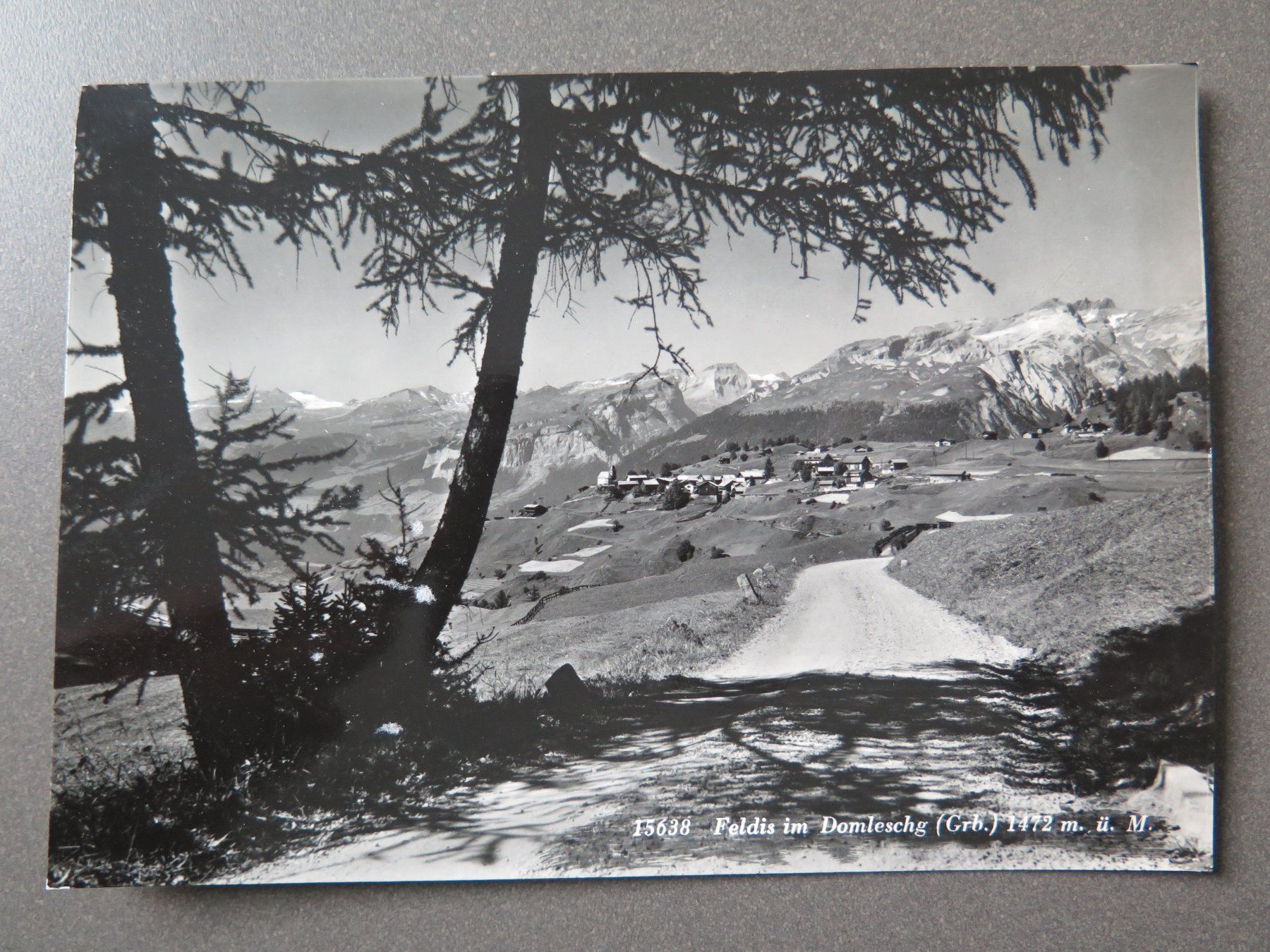 Cartoline postali: FELDIS IM DOMLESCHG – Usato da Wittenbach venduto da lipasal