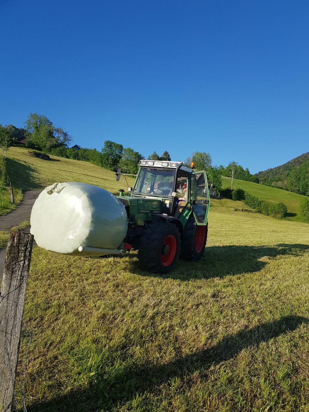 Accessori per presse e avvolgimenti: Ballengabel/Ballenspitz – Usato da Stein SG venduto da Luk_27
