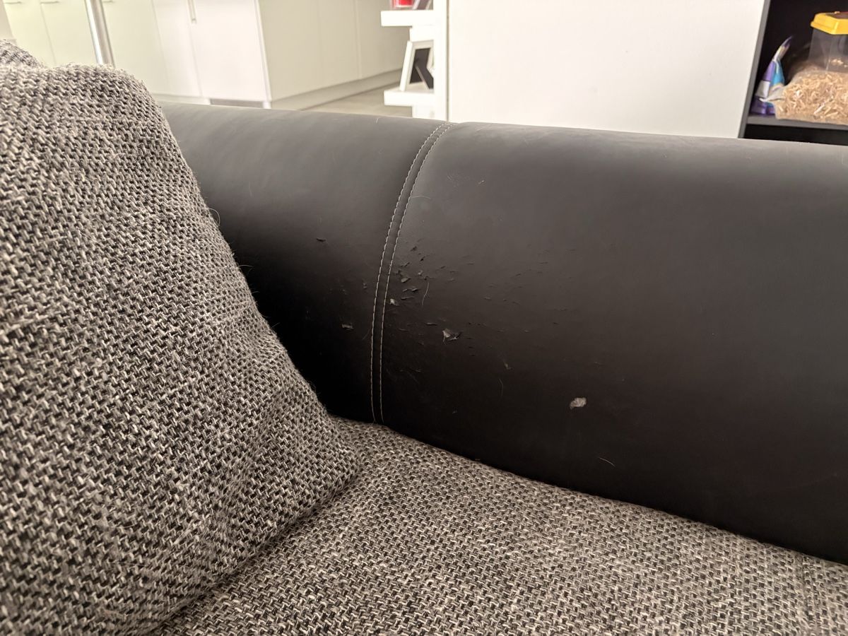 Divani: Couch/Sofa GRATIS  – Usato da Stüsslingen venduto da eli_ltv7 2