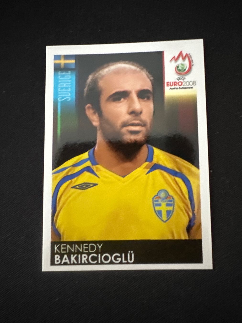 Panini Carte collezionabili: Panini UEFA EM 2008 Sticker - Nr. 404 – Usato da Sulz AG venduto da DealWerk