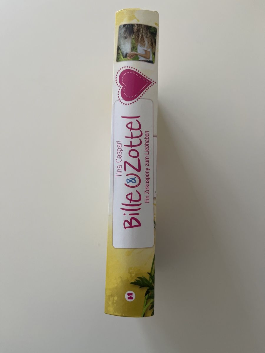 Bücher: Kinderbuch, Bille und Zottel Band 1 – Gebraucht aus Zürich von aar_z625 2