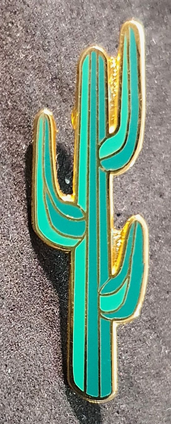 Plantes & graines: U109 - Pin Kaktus – D'occasion à Reinach BL par Boston-Verkauf 1