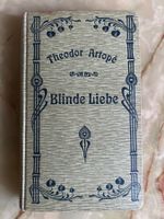 Buch Blinde Liebe Theodor Artope 1902 gebraucht