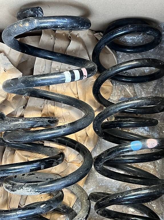 Il mondo degli animali: Audi S5 Federn Original – Usato da Sulgen venduto da AldinaA. 1