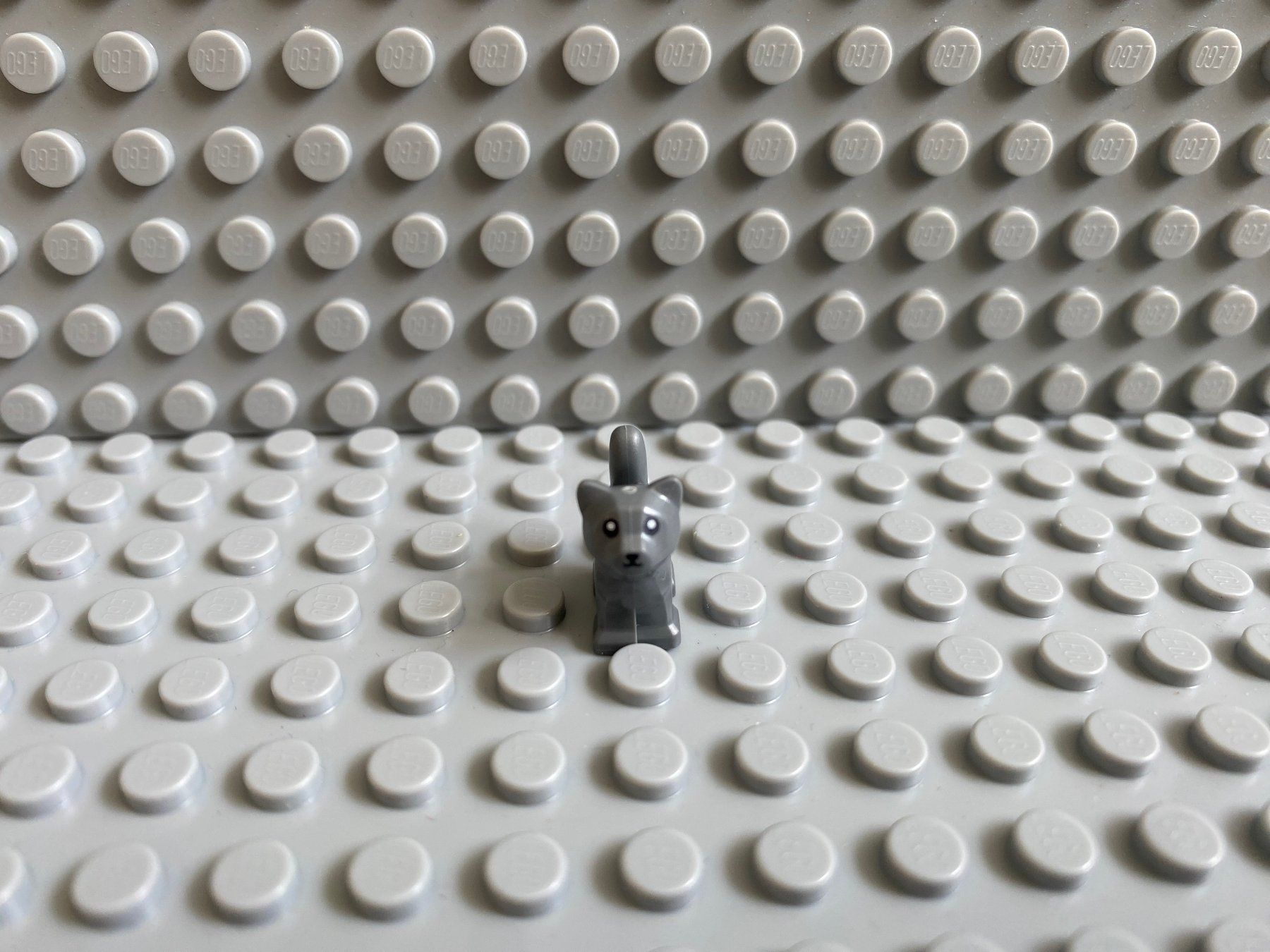 Lego Baukästen: Lego Tiere - Katze Baby – Neu (gemäss Beschreibung) aus Horw von G39517sG 2
