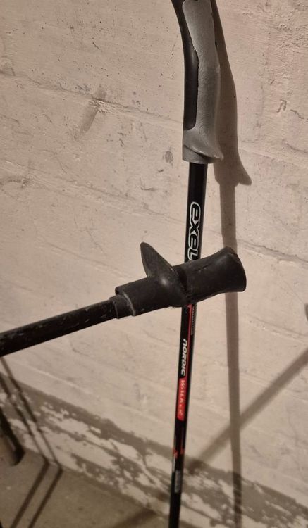 Exel Bastoncini da trekking: Exel Nordic Walking Stöcke 2stk. – Usato da Liebefeld venduto da DekoBrokland 2