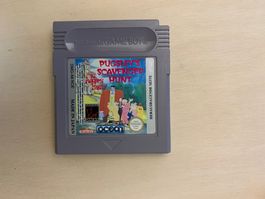 Pugsleys Scavenger Hunt (Addams Family) für Gameboy selten