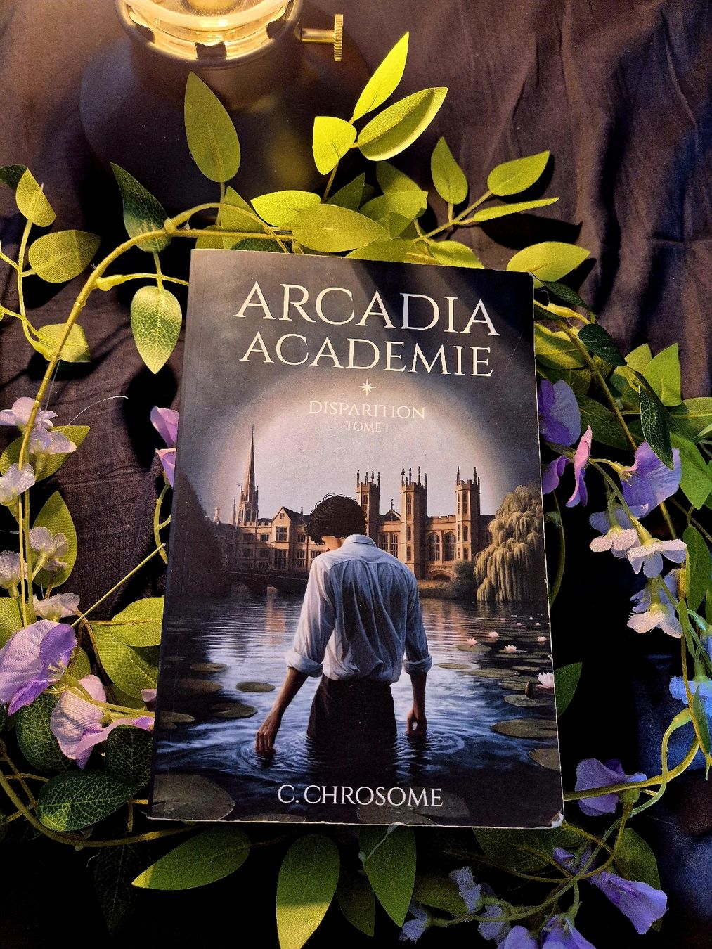 Libri: Arcadia Académie - C. Chrosome – Usato da Fleurier venduto da cin_7qkd