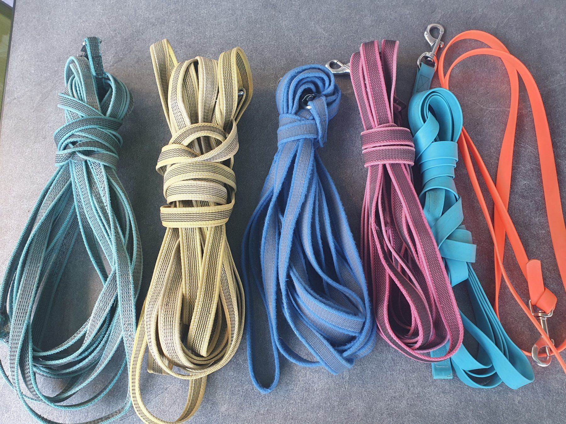 Collier et laisse: Schleppleinen 6 Stk. – D'occasion à Arch par rottizotti