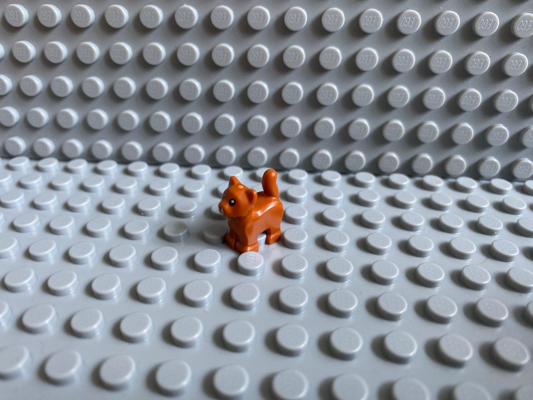 Lego Kit di costruzioni: Lego Tiere - Katze Baby – Nuovo (secondo la descrizione) da Horw venduto da G39517sG