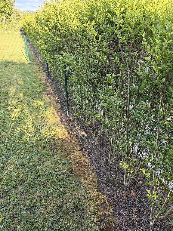 Fendivista: 14m Garten Zaun mit Pfosten – Usato da Kölliken venduto da MaRo1303 3