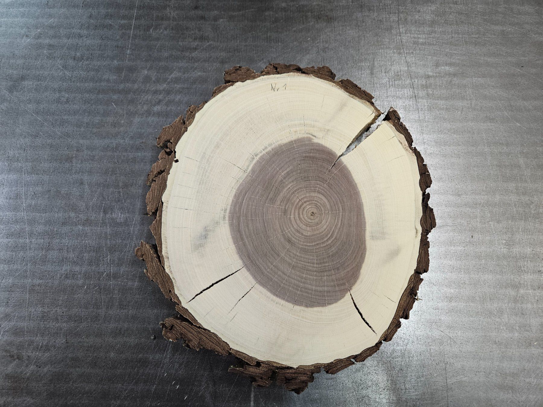 Holzartikel: Nussbaum Holz Baumscheibe – Neu (gemäss Beschreibung) aus Schangnau von egli6.2