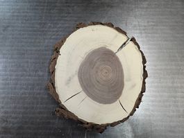 Nussbaum Holz Baumscheibe