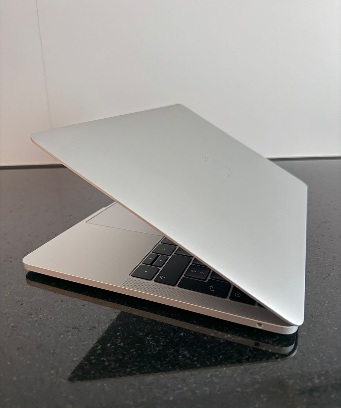 Apple Notebook: Apple MacBook Pro 13" 2017 128GB – Usato da Bern venduto da LM08 2