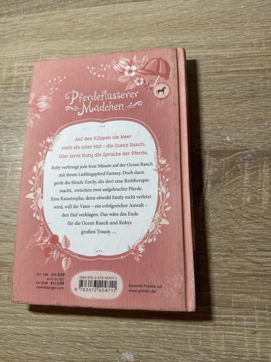 Libri: Buch Pferdeflüsterer Mädchen Ein grosser Traum Band 2 – Nuovo (secondo la descrizione) da Buttikon SZ venduto da Pilatus2013 1