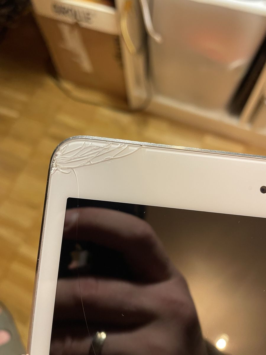 Apple Tablet PC: iPad Mini 32GB – Usato da Wädenswil venduto da dai_2bcv 1