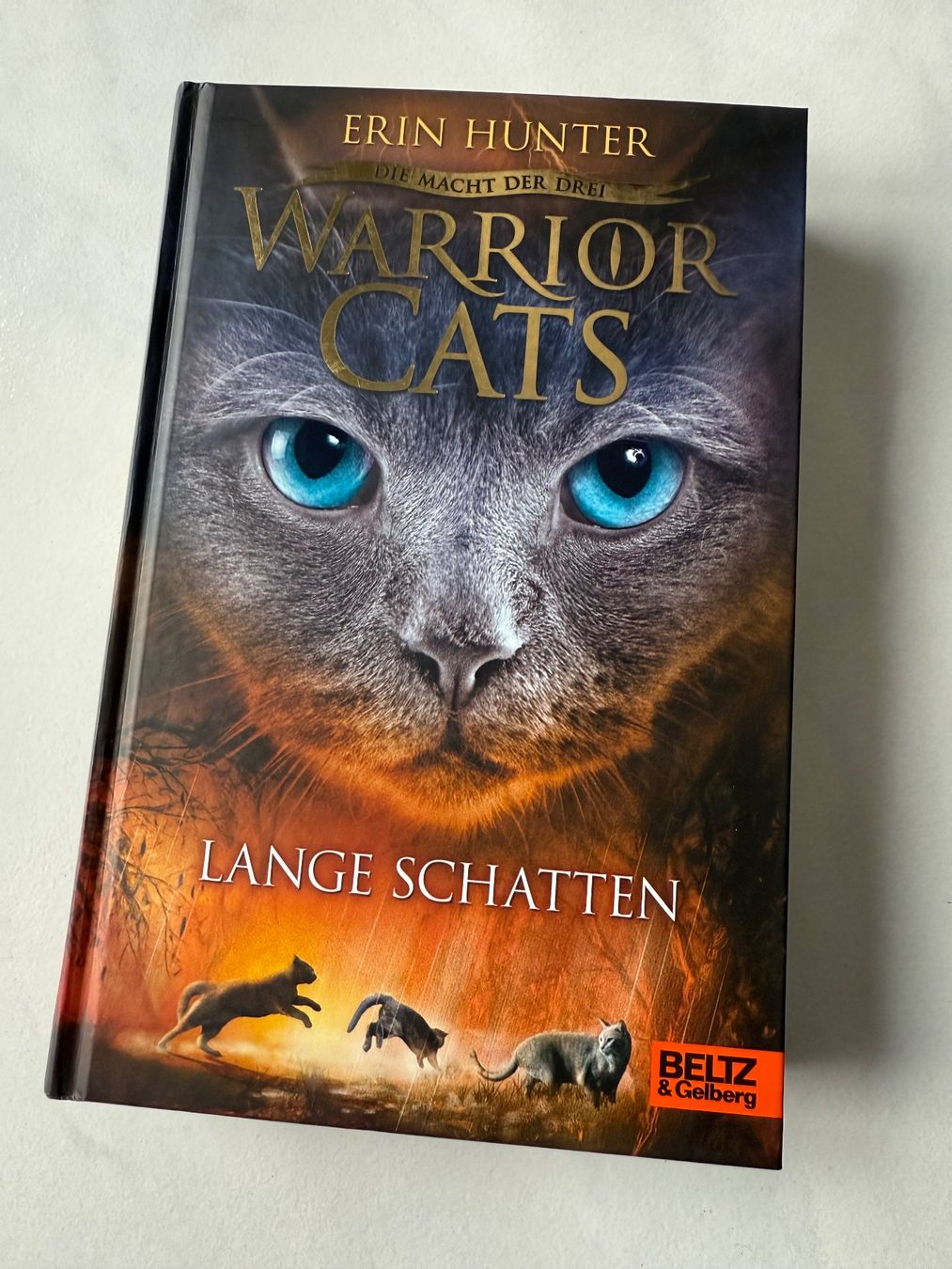 Libri: WARRIOR CATS   • Band 5 – Usato da Oberbipp venduto da annegret05