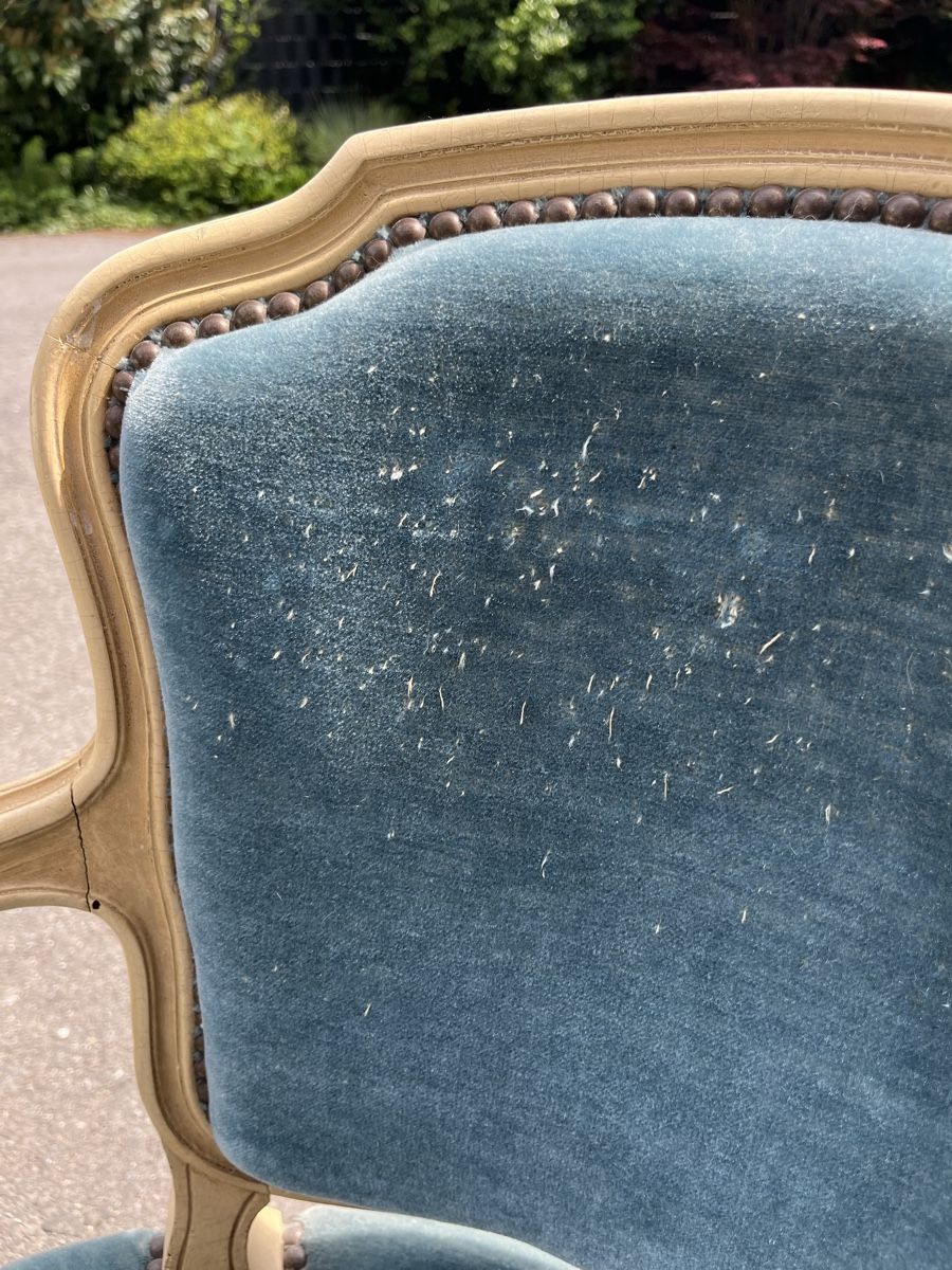 Sessel: Fauteuil – Gebraucht aus Puidoux von Amelie.Wytt 3