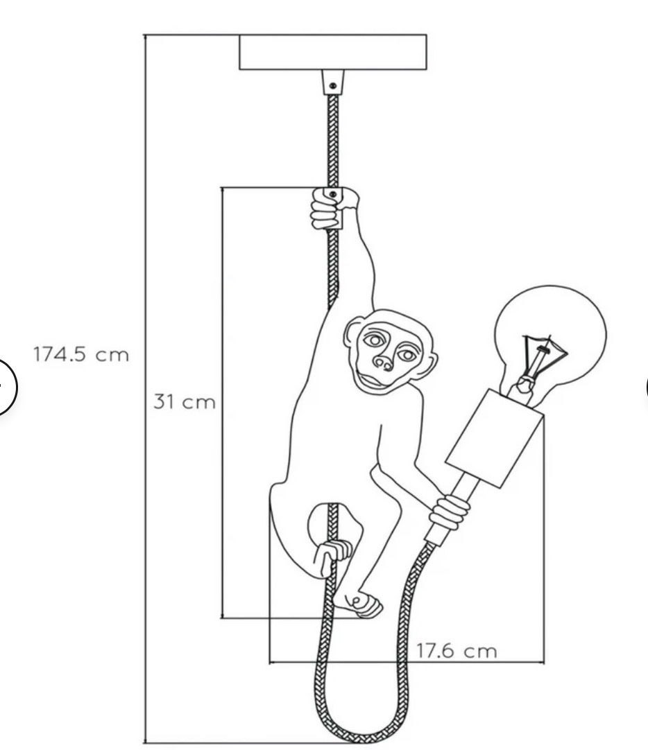 Lustres & lampes de plafonds: Affe Deckenlampe mit Edison Glühbirne -  Monkey Light – D'occasion à Zürich par maral787 4