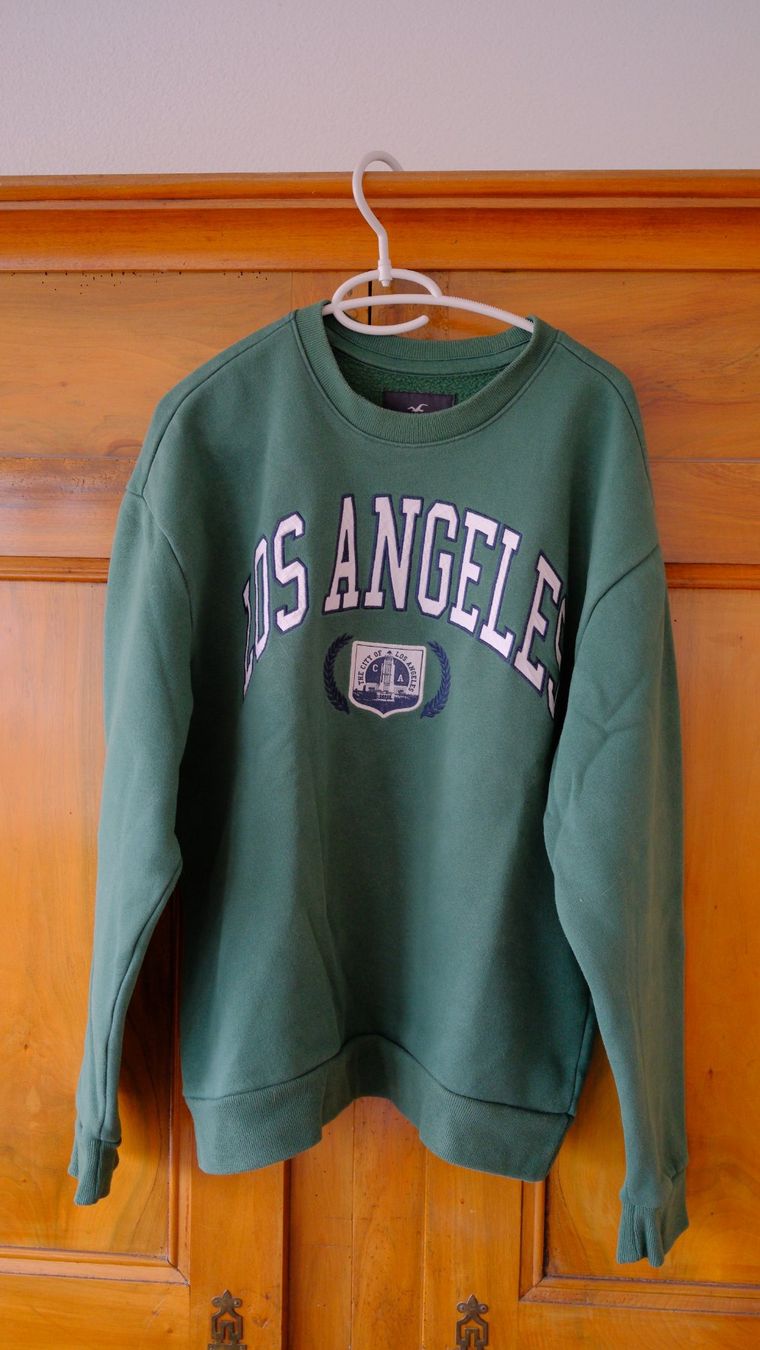 Maglioni & Felpe: Hollister Pullover grün Grösse L – Usato da Wolfwil venduto da Poulet60