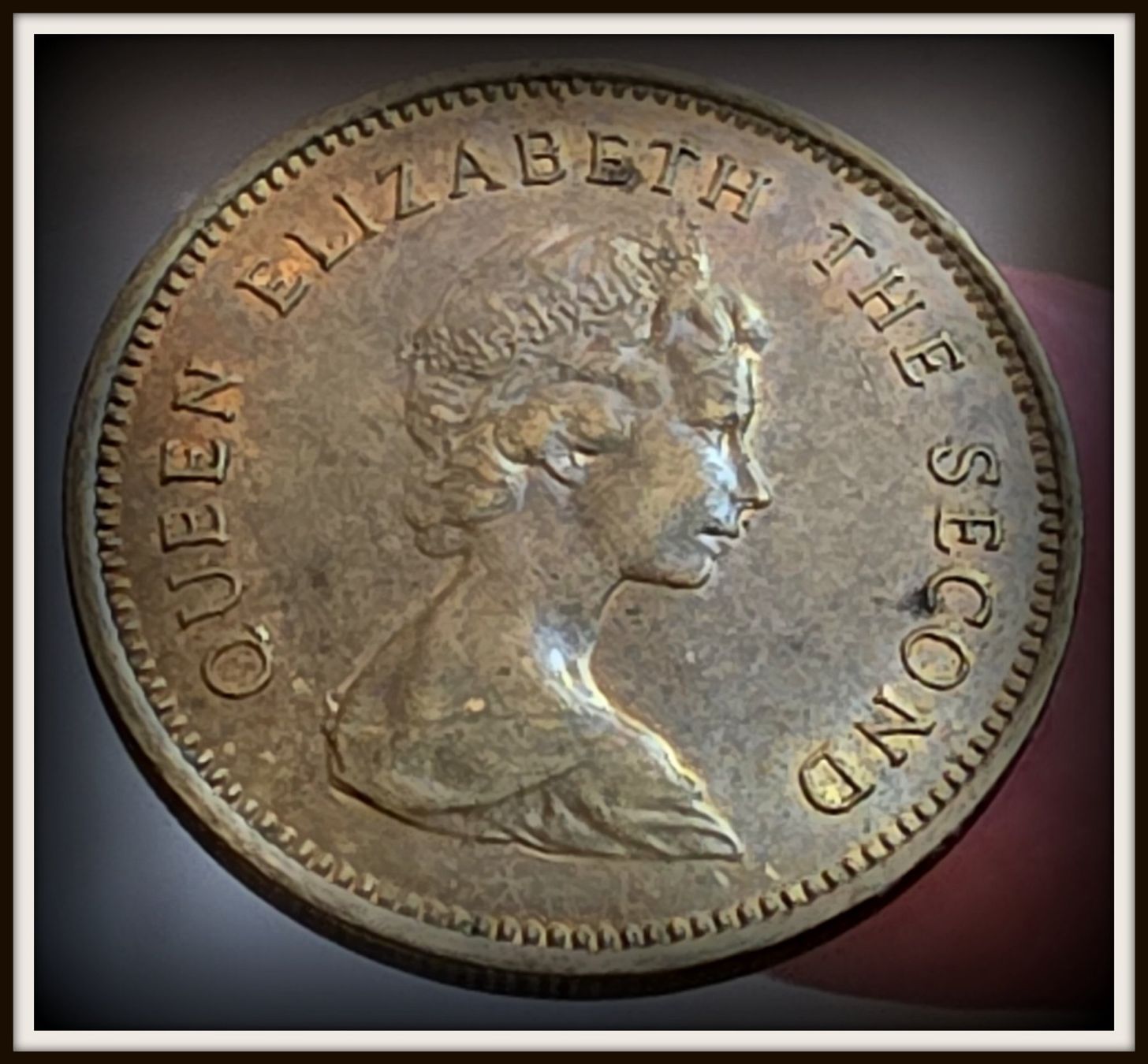 Tutti le monete: HONG KONG 50 CENTS 1979 – Usato da winterthur venduto da CoinPassion 1