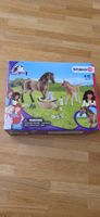 Schleich Horse Club Sarahs Tierbaby-Pflege