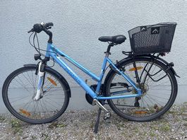 Velo Pegasus Piazza Damen