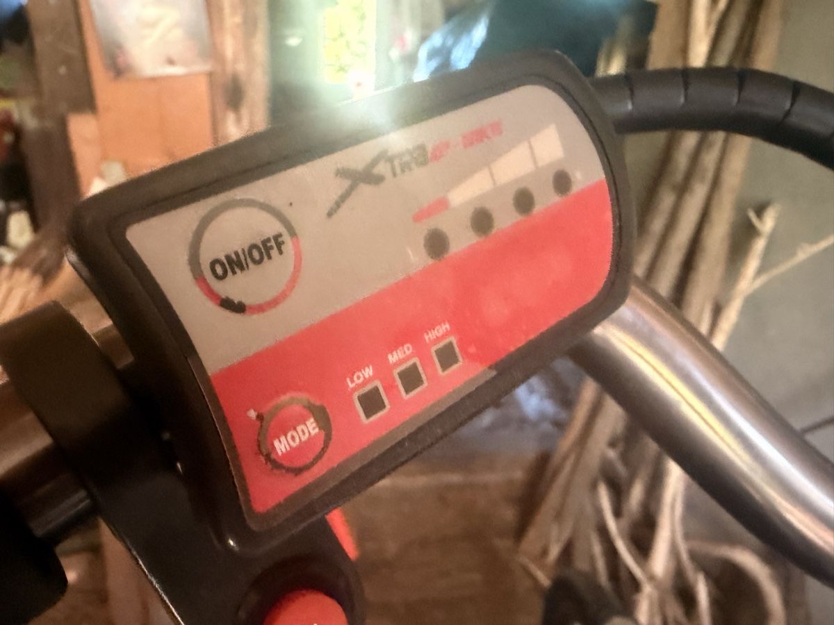 Biciclette: B-Bine E-Bike – Usato da Schwellbrunn venduto da Magdalena888 2