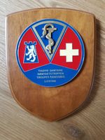 Militär Plakette massiv Sanität s Truppe Losone