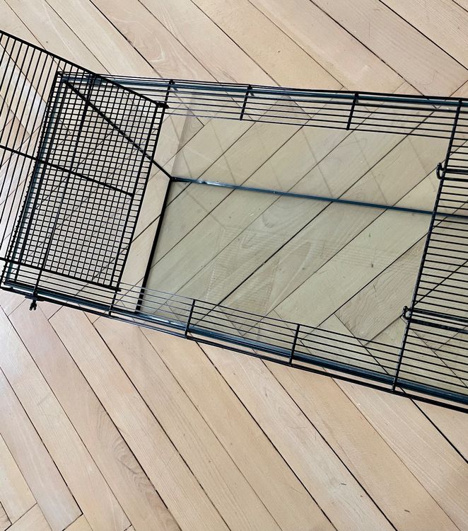 Image showcasing Hamster Terrarium inkl. Zubehör | Kaufen auf Ricardo