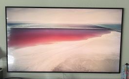 Samsung The Frame 65 Zoll (2021)– defekt / Bastlergerät