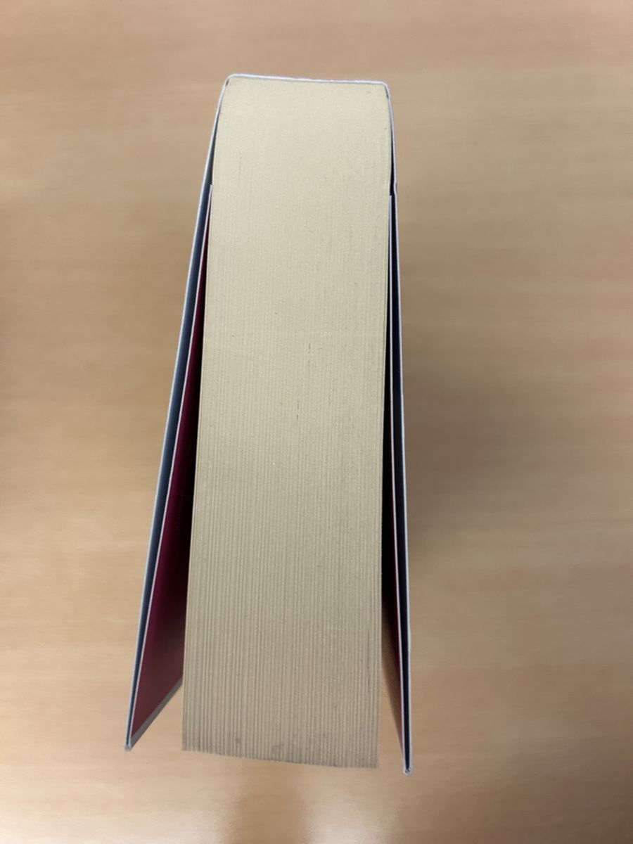 Libri: Flaming Clouds von Gabriella Santos de Lima – Usato da Wiesendangen venduto da eli_7q2p 4