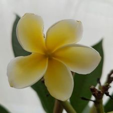 Profile image of Rita20