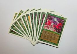 Magic The Gathering Grün Uncommon 11x Revised