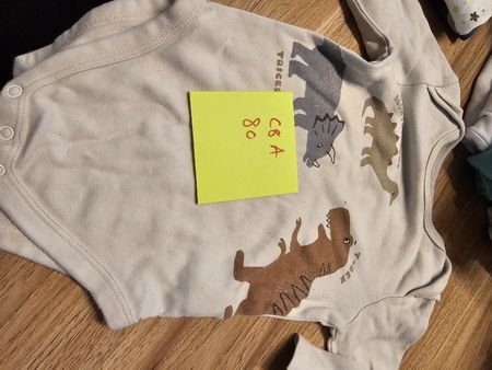  Dino Body